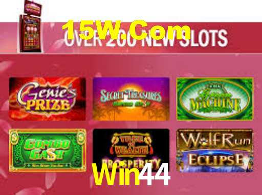 Programa VIP Win44